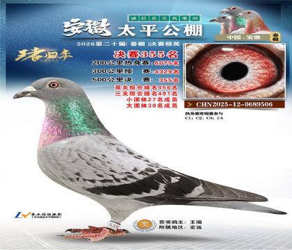 ����̫ƽ����355��