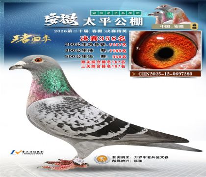 ����̫ƽ����358��