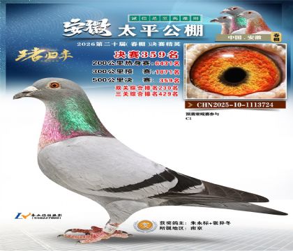 安徽太平决赛359名