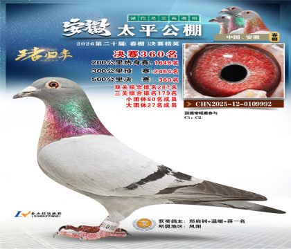 安徽太平决赛360名