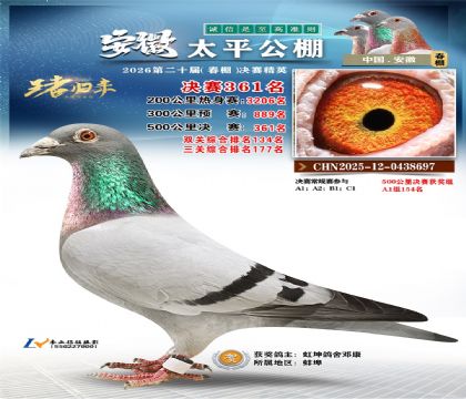 安徽太平决赛361名