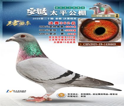 安徽太平决赛362名