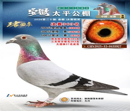 安徽太平决赛363名