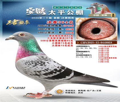 安徽太平决赛364名