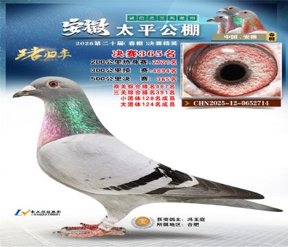 安徽太平决赛365名