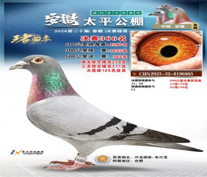 安徽太平决赛366名