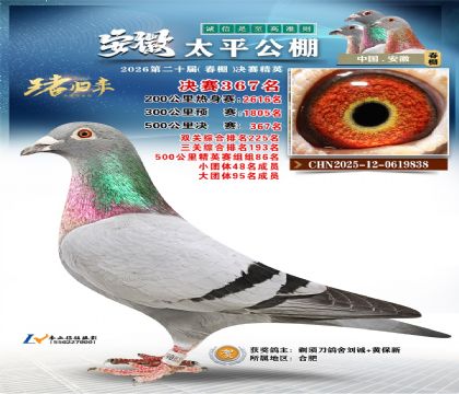 安徽太平决赛367名