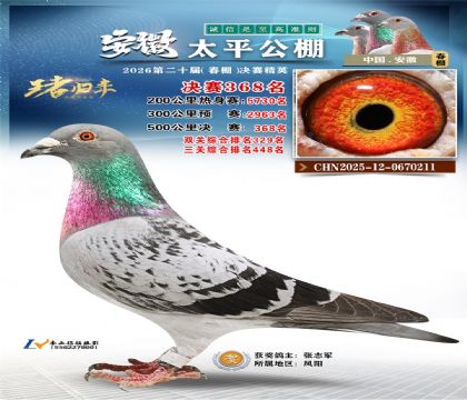 安徽太平决赛368名