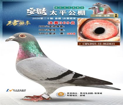 安徽太平决赛369名