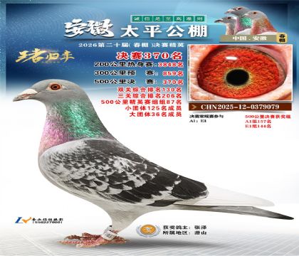 安徽太平决赛370名