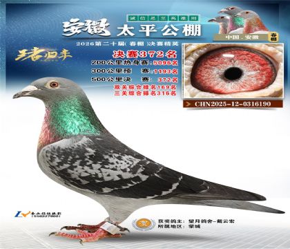 安徽太平决赛372名