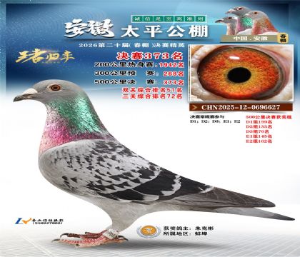 安徽太平决赛373名