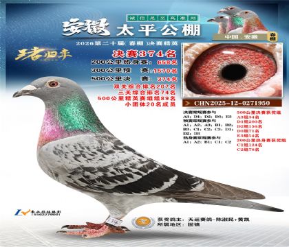 安徽太平决赛374名