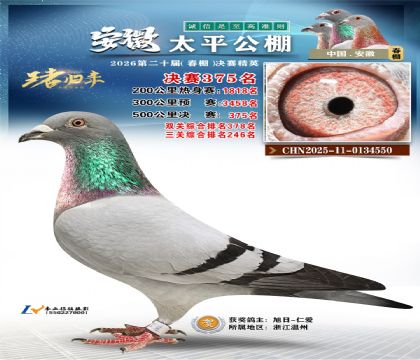 安徽太平决赛375名