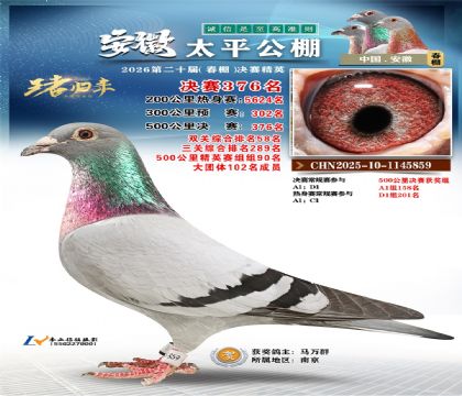 安徽太平决赛376名