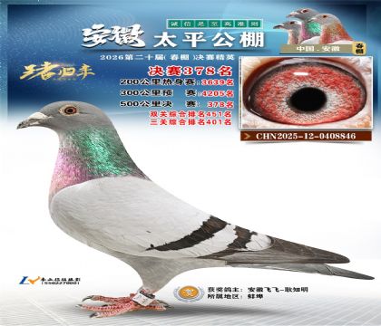 安徽太平决赛378名