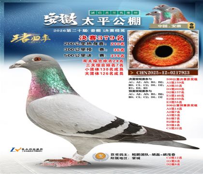 安徽太平决赛379名