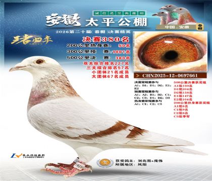 安徽太平决赛380名