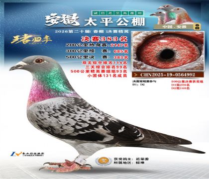 安徽太平决赛383名