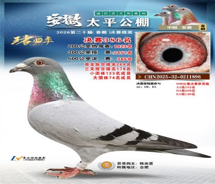 安徽太平决赛386名