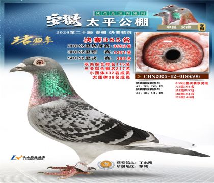 安徽太平决赛385名