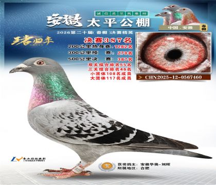 安徽太平决赛387名