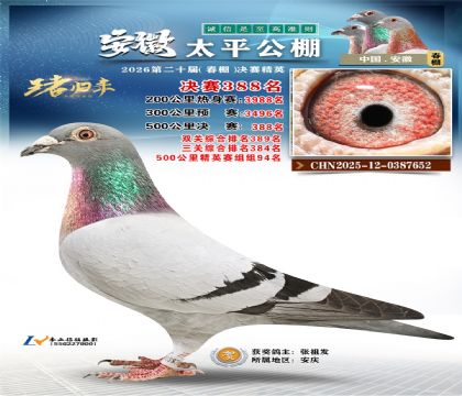 安徽太平决赛388名