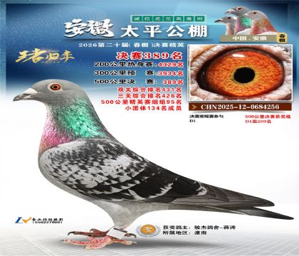 安徽太平决赛389名