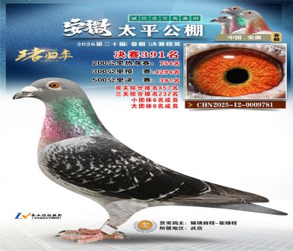 安徽太平决赛391名