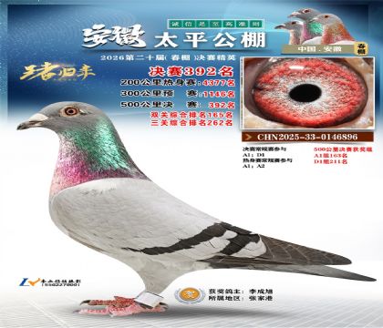 安徽太平决赛392名