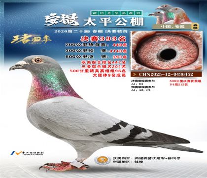 安徽太平决赛393名