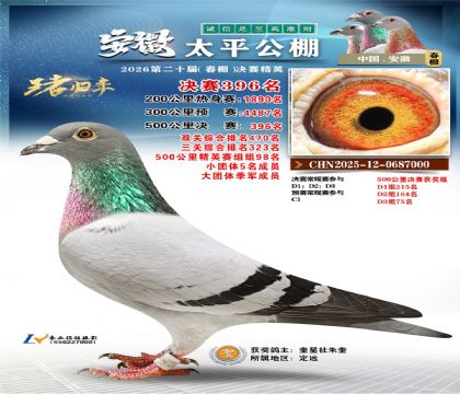 安徽太平决赛396名