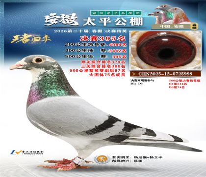 安徽太平决赛395名