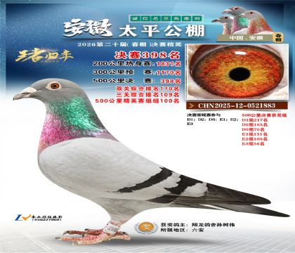 安徽太平决赛398名