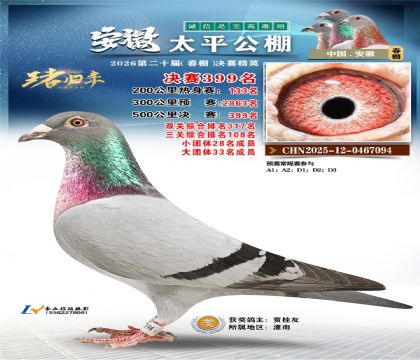 安徽太平决赛399名