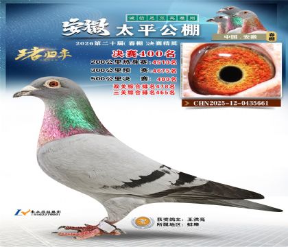 安徽太平决赛400名