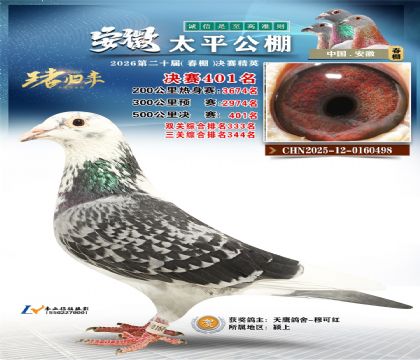 ����̫ƽ����401��