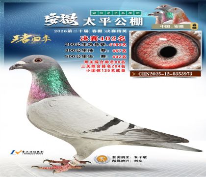 ����̫ƽ����402��