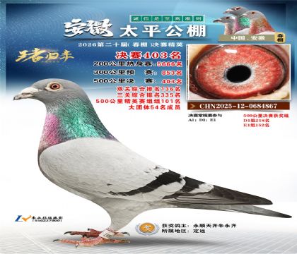 ����̫ƽ����403��