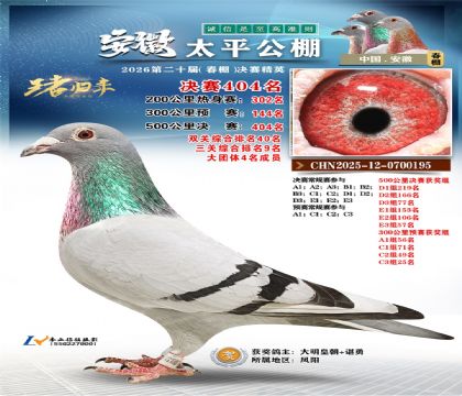 ����̫ƽ����404��