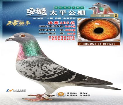 ����̫ƽ����405��