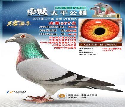 ����̫ƽ����407��