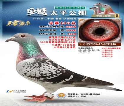 ����̫ƽ����406��