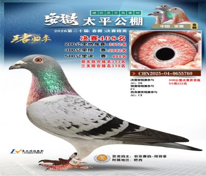 ����̫ƽ����408��