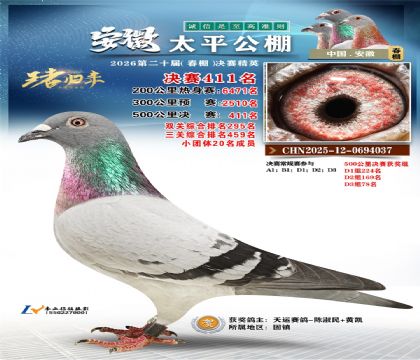 安徽太平决赛411名