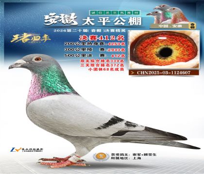 安徽太平决赛412名