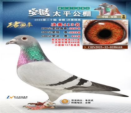 安徽太平决赛413名