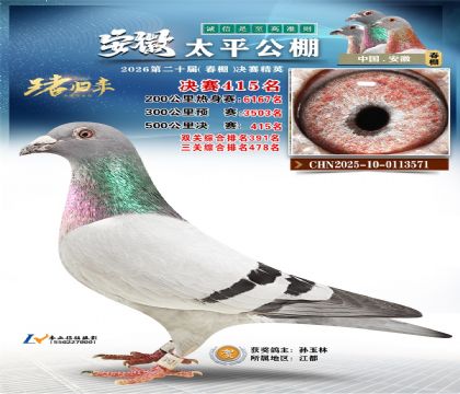 安徽太平决赛415名