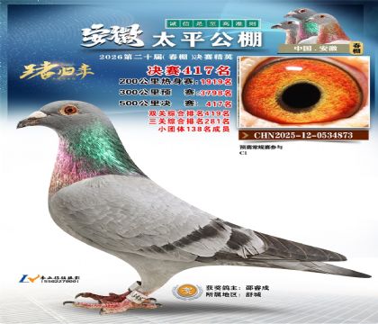 安徽太平决赛417名