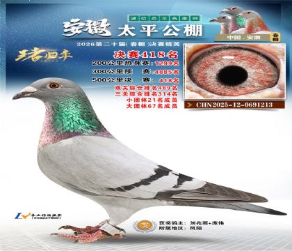 安徽太平决赛418名